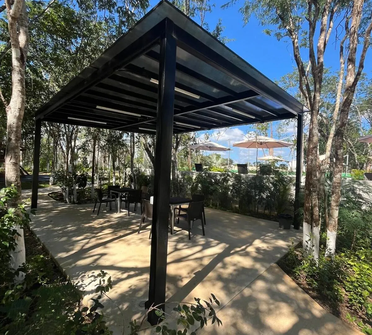 Casa Bambu, Apartment In The Best Part Of Playa Del Carmen
