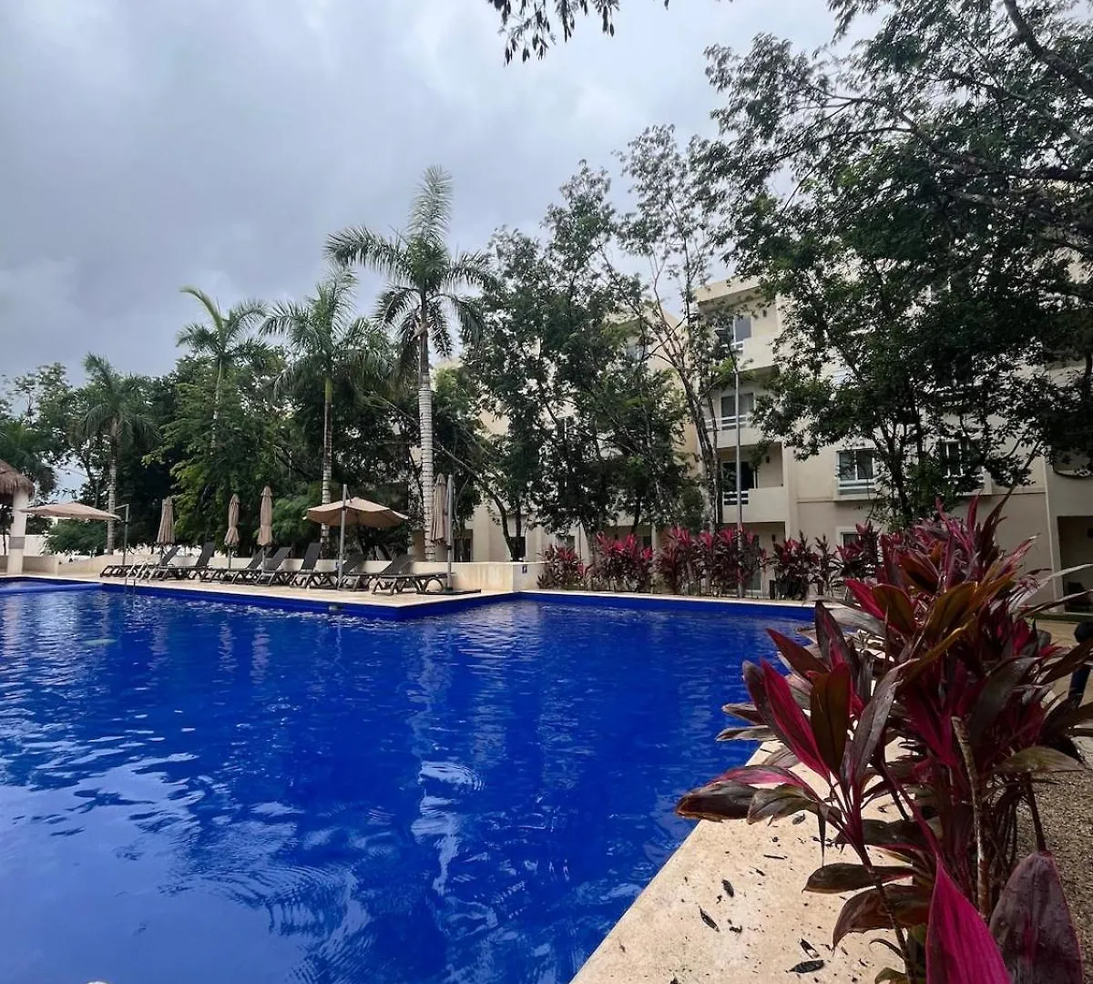 Casa Bambu, Apartment In The Best Part Of Playa Del Carmen Mexico