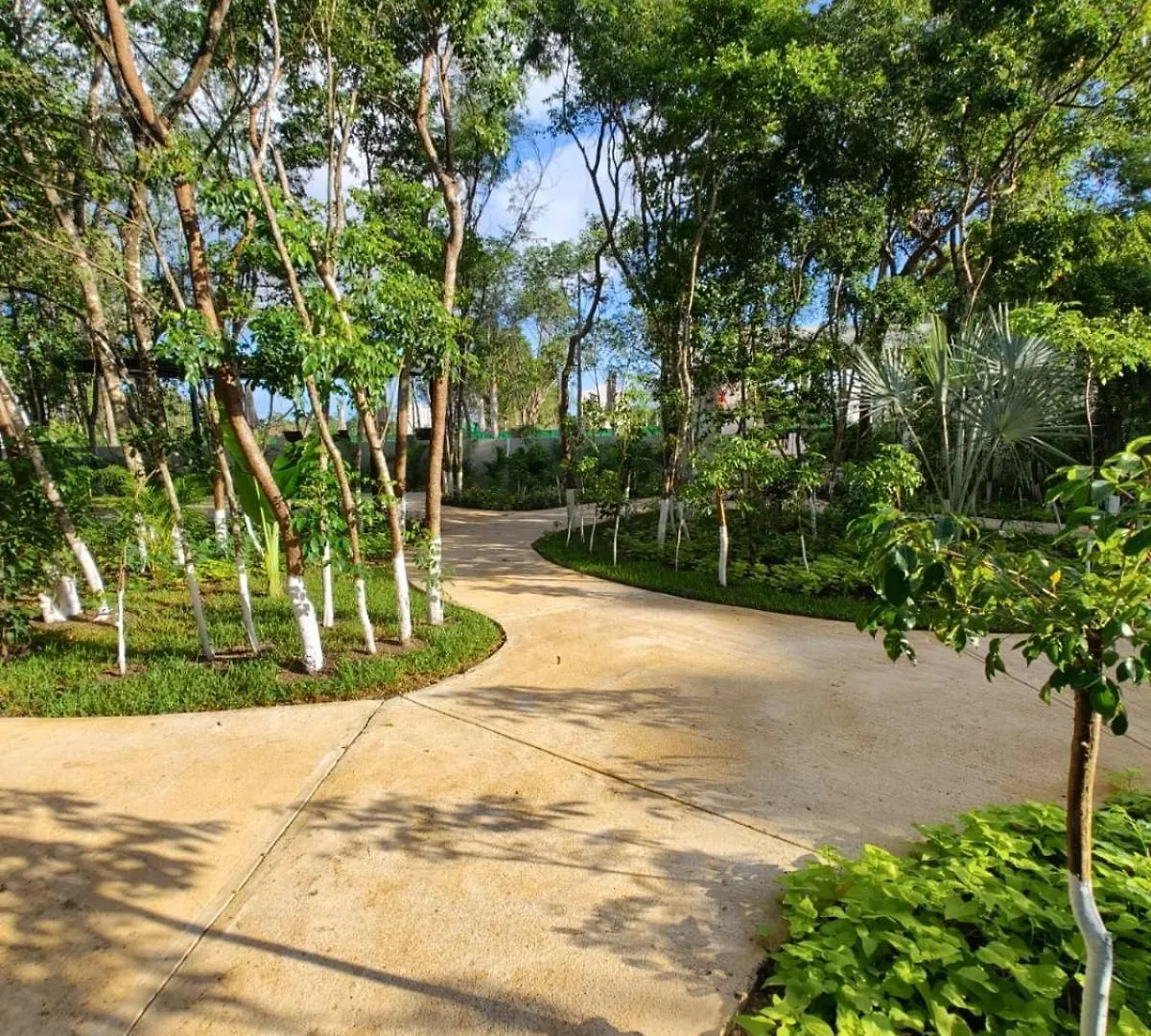 Casa Bambu, Apartment In The Best Part Of Playa Del Carmen Mexico